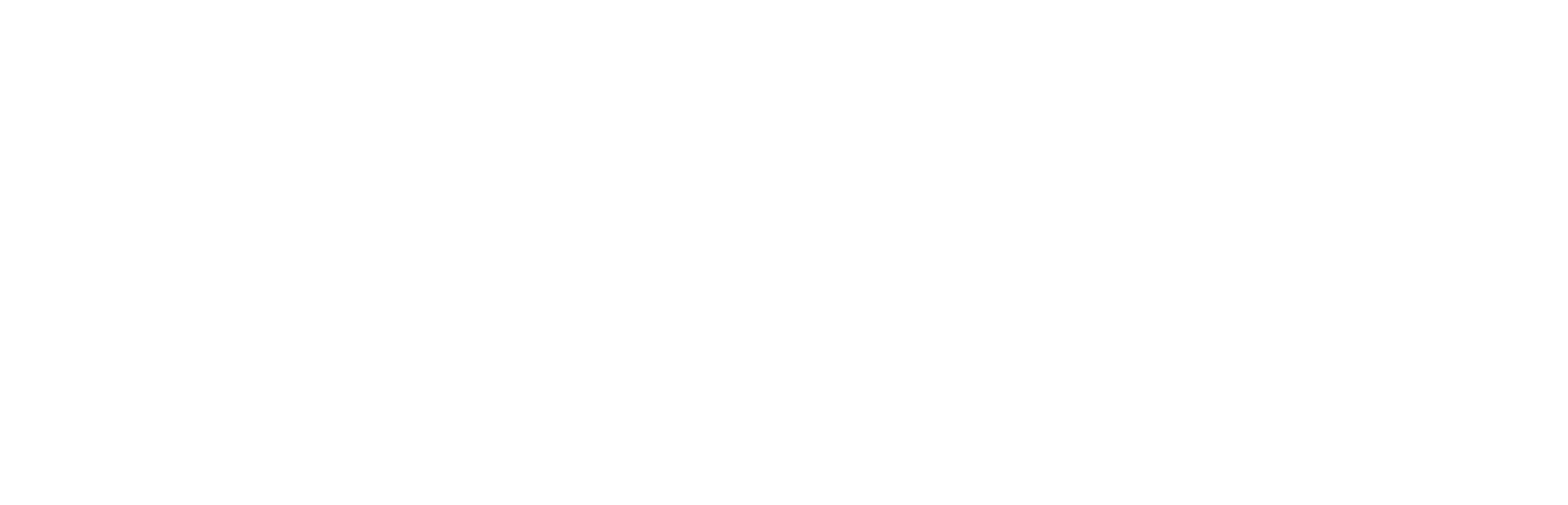 The Choice Logo